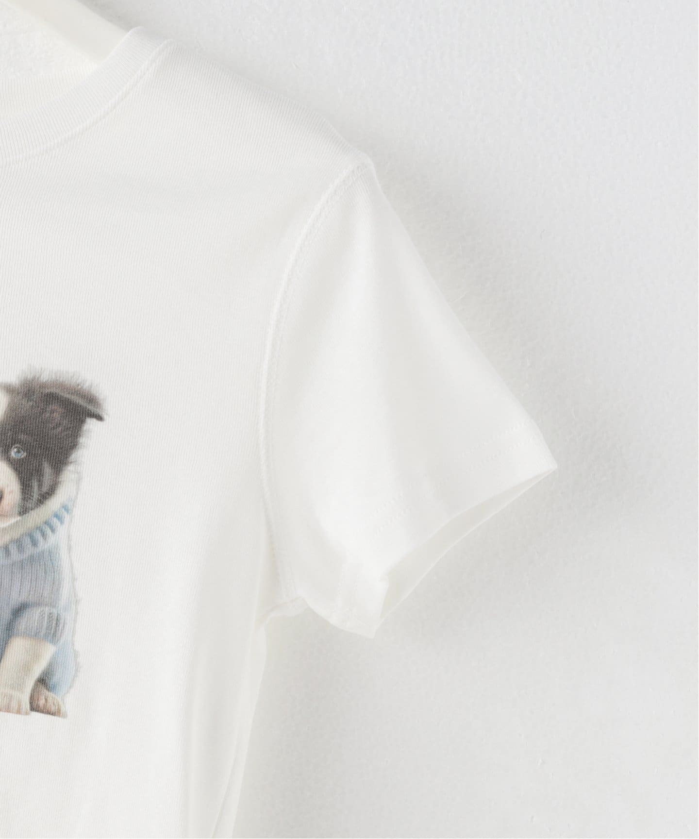 [ATTENDS] Husky Dog Tee /追跡付 71Xa4HY+HmL.jpg