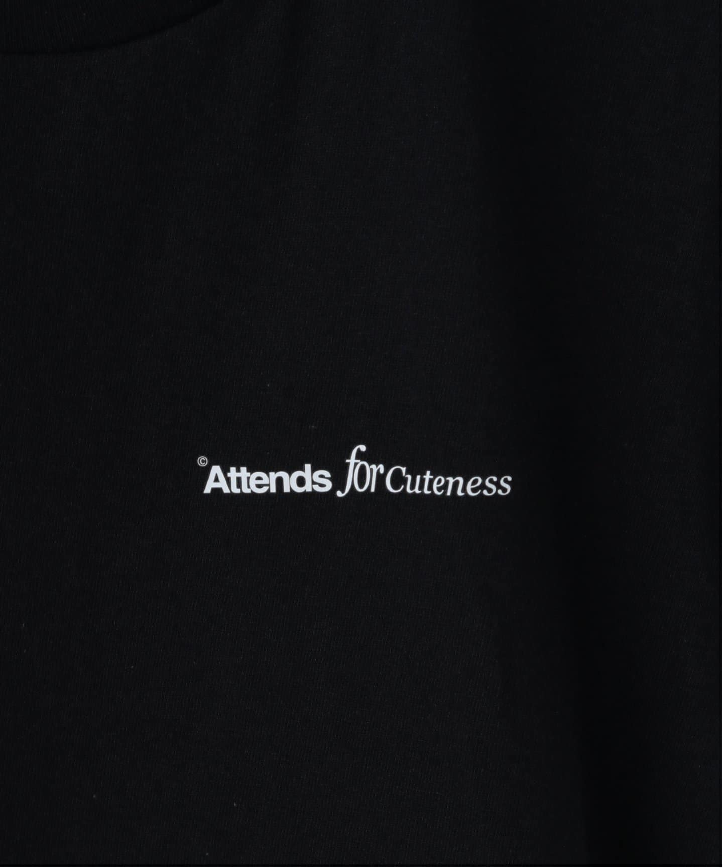 Attends / アテンズ】BASIC TEE SHIRT（Tシャツ／カットソー）｜PULP