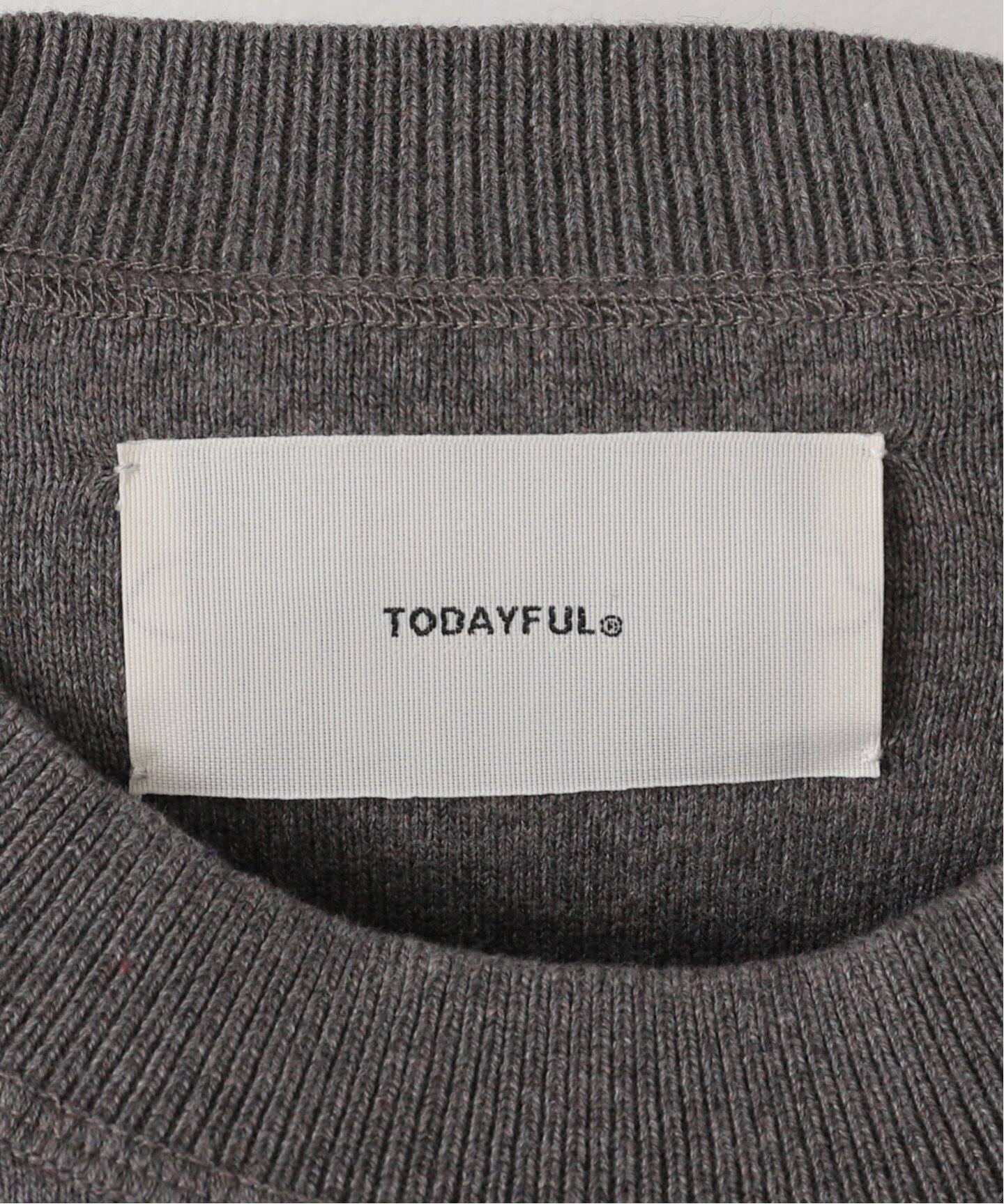TODAYFUL / トゥデイフル】Compact Raglan Knit：ニット（ニット  