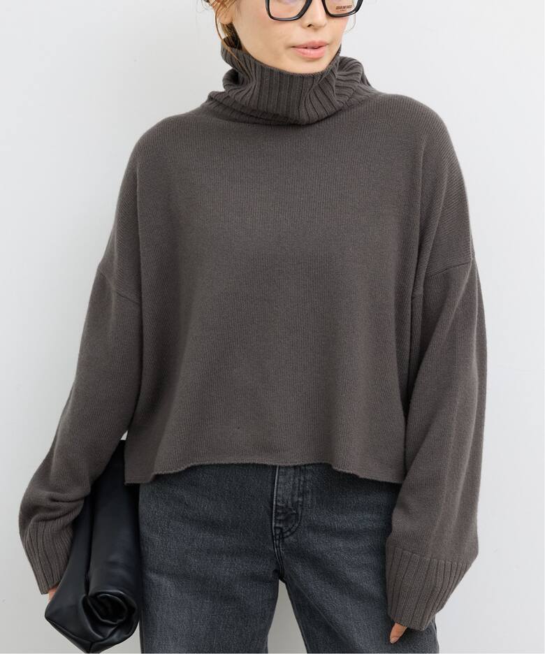 Neo Cropped タートルネック プルオーバー（ニット／セーター  