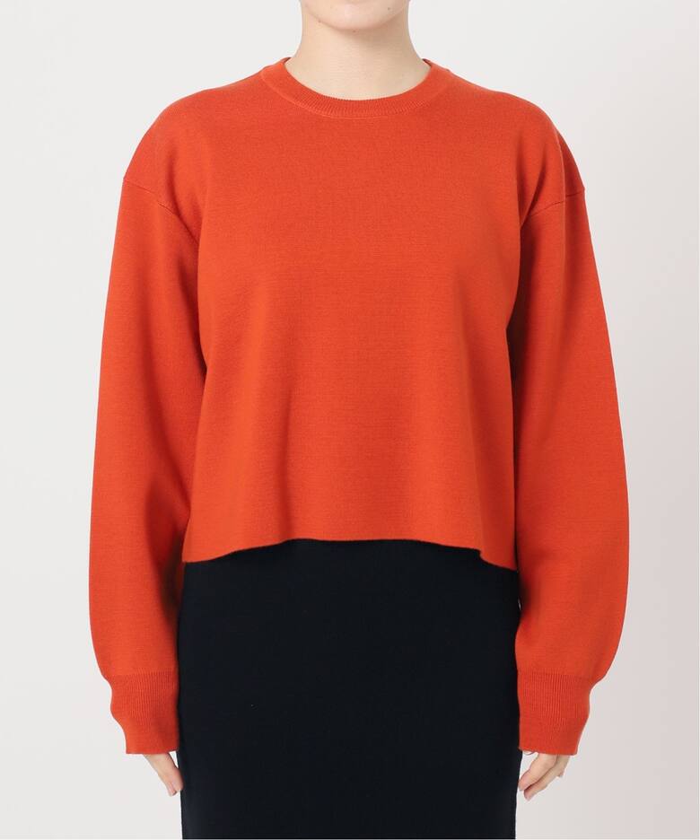 SHORT CREW NECK KNIT（ニット／セーター）｜L