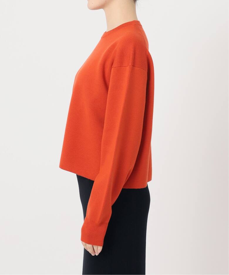 SHORT CREW NECK KNIT（ニット／セーター）｜L