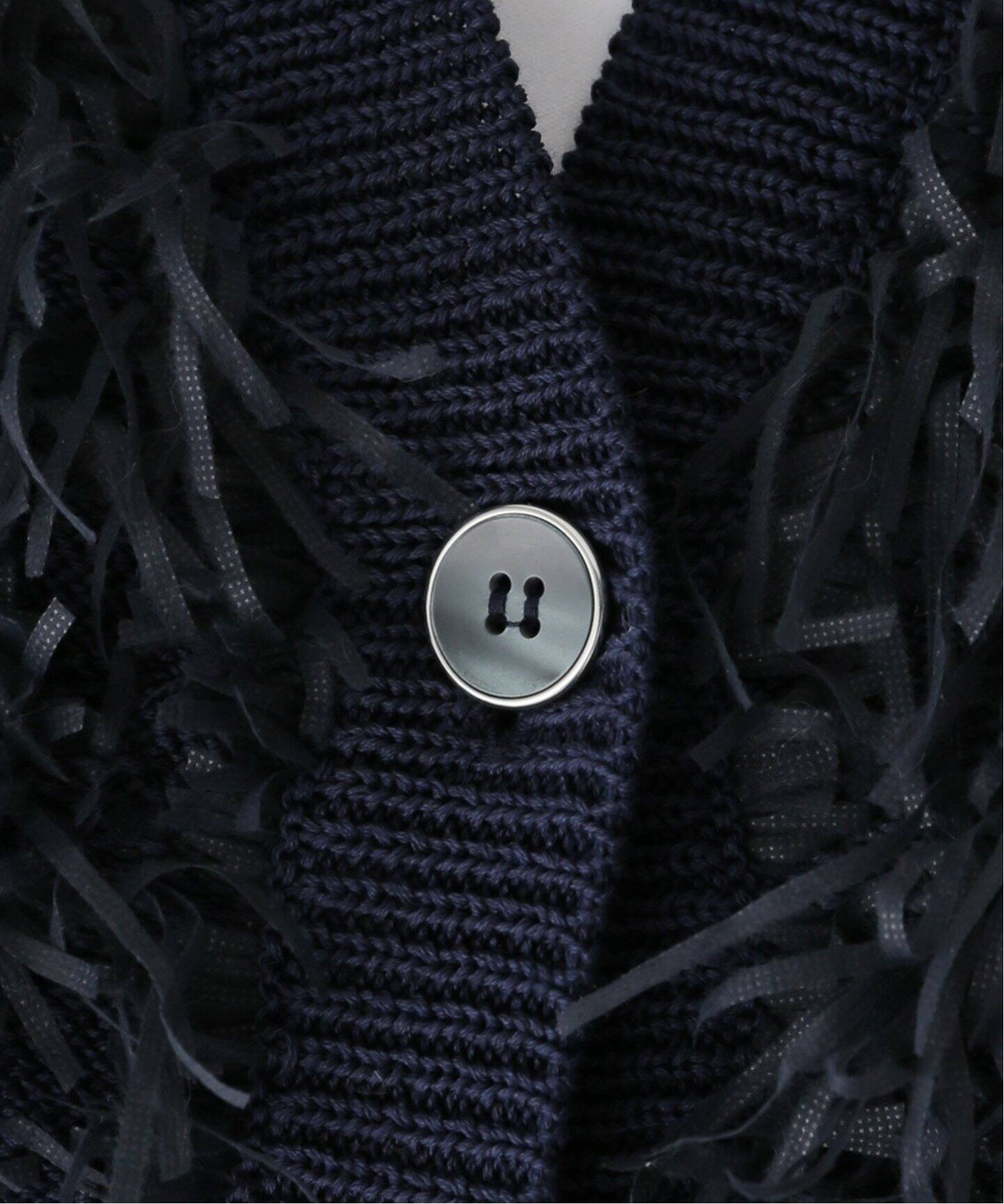 RITTO /リット】フリンジベスト（ニット／セーター）｜SLOBE IENA  