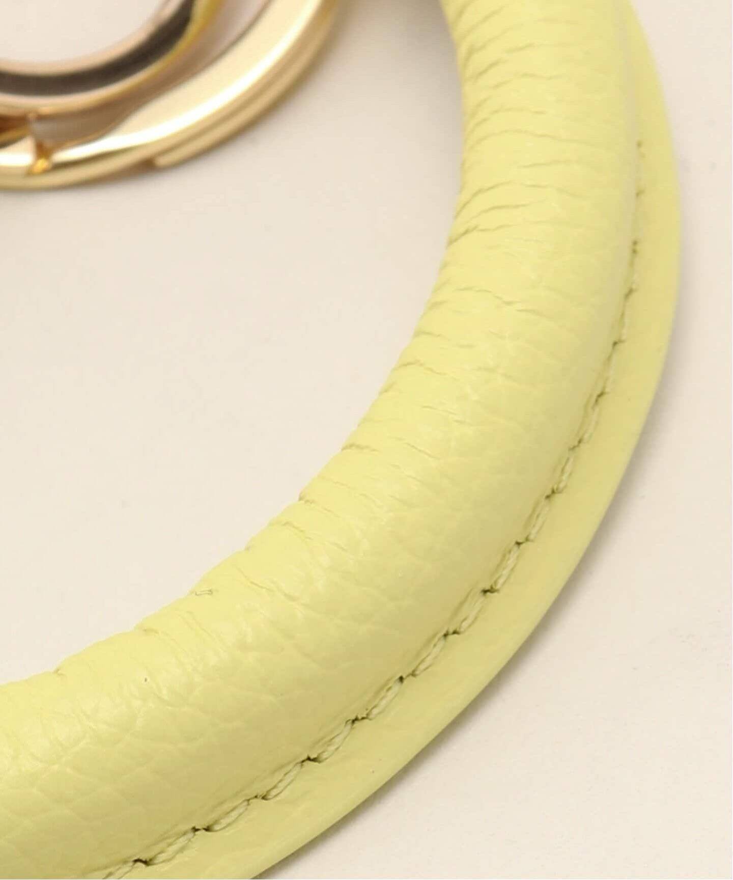 ≪追加≫HASHIBAMI / ハシバミ 別注 レザーサークルナスカンスマホ