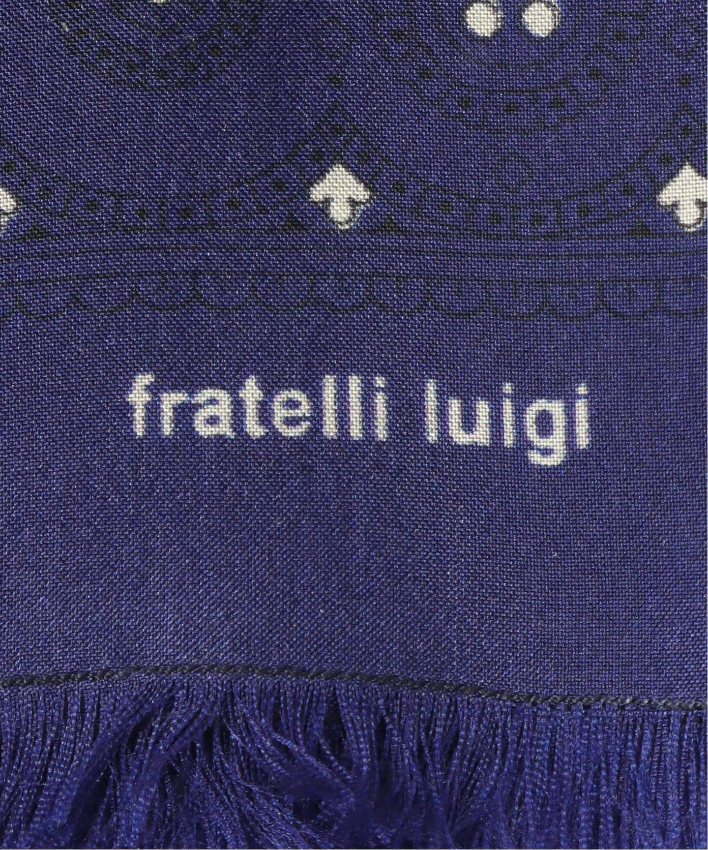 Fratelli Luigi / フラテッリ ルイージ】Paisley Like Dot Scarf