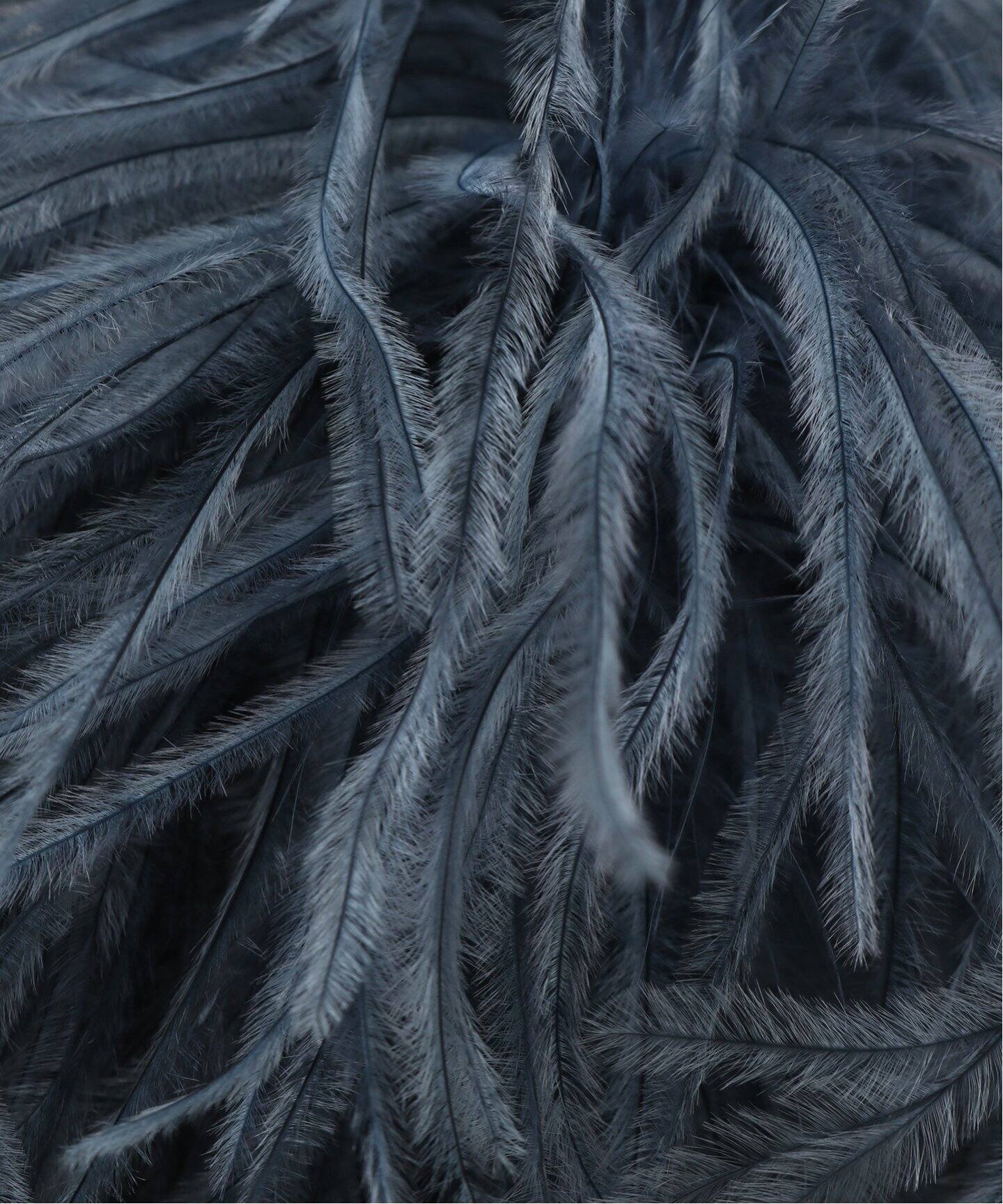 INDRESS/インドレス】 Ostrich feather brooch（コサージュ）｜L 