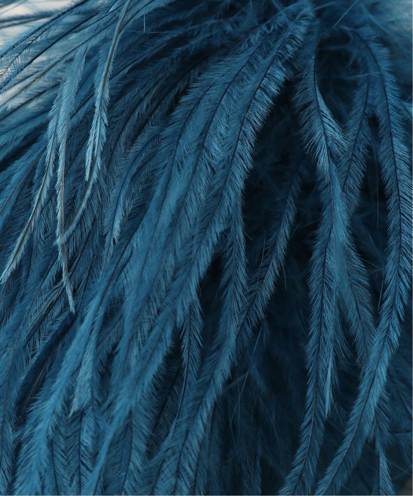 INDRESS/インドレス】 Ostrich feather brooch（コサージュ）｜L 