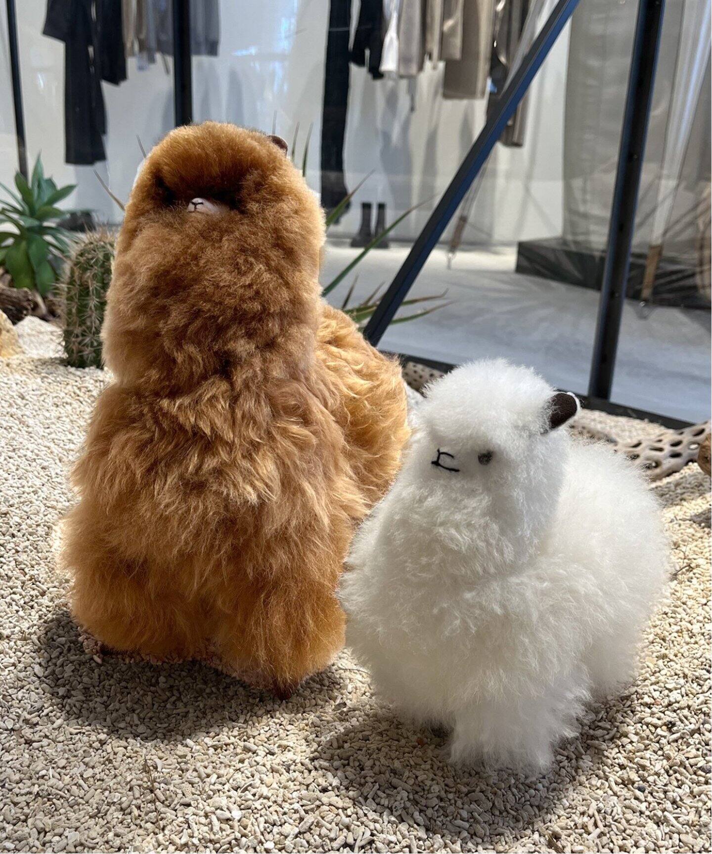 新品 アルパカ ポンチョ 引っかける