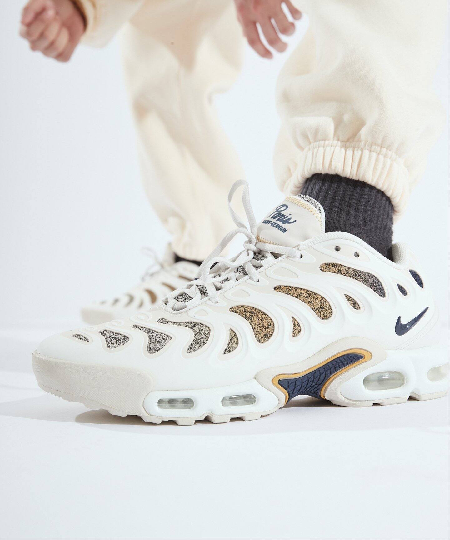 NIKE / ナイキ】PARIS SAINT-GERMAIN*AIR MAX PLUS FZ4776- 100  