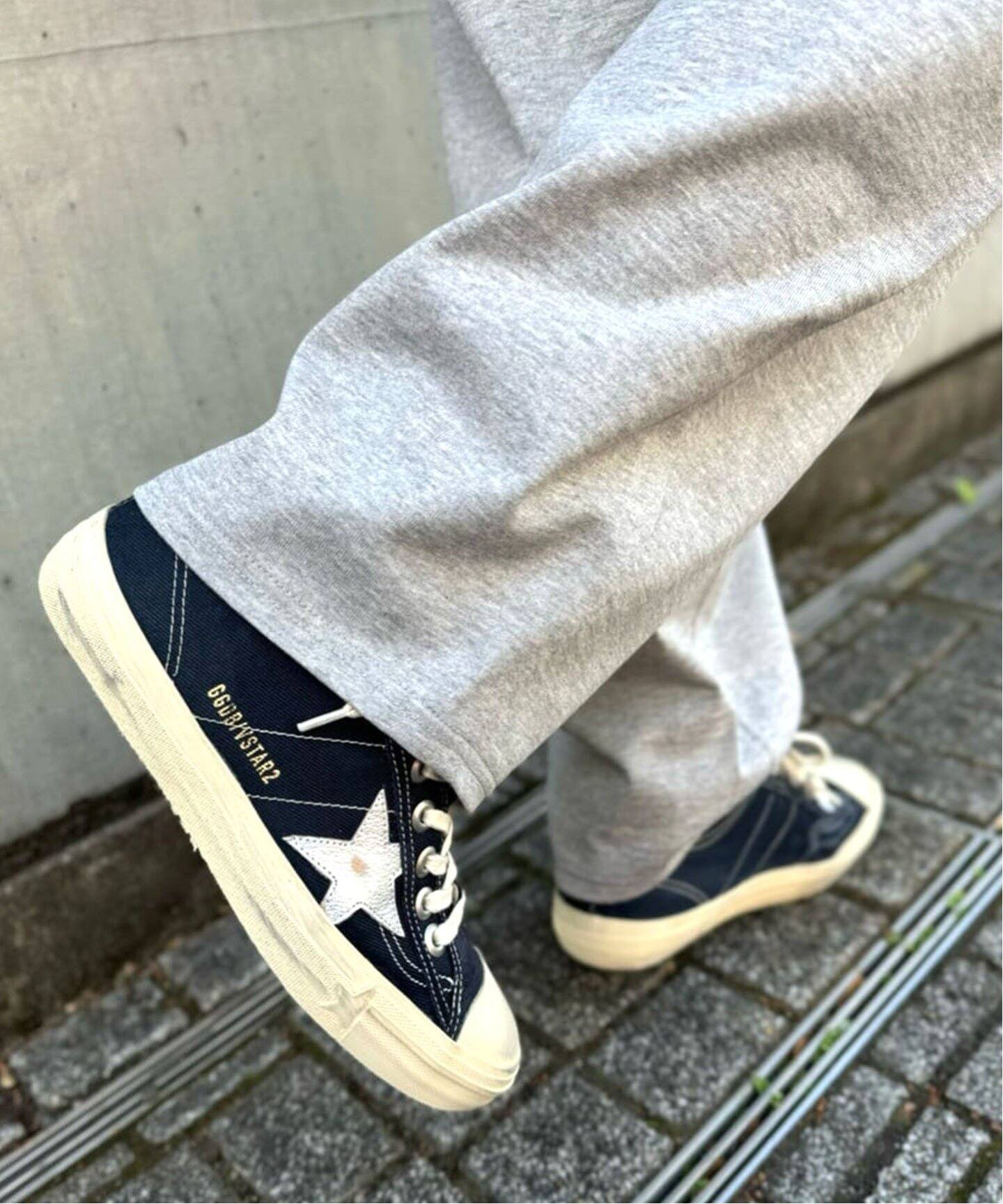 GOLDEN GOOSE/ゴールデングース】V-STAR CANVAS（スニーカー 