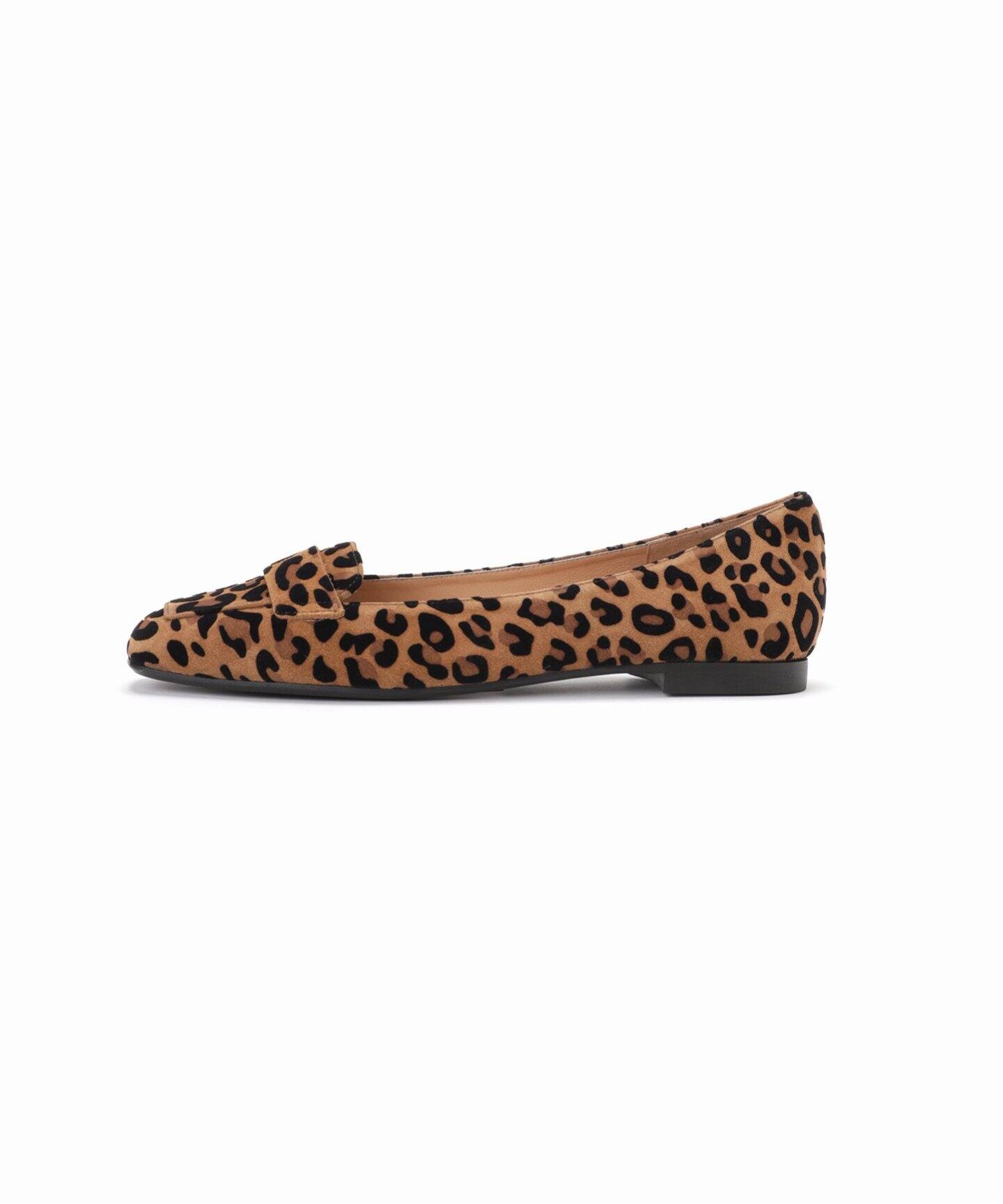 STATUS/ステイタス LEOPARD FLAT A1623-M（フラットシューズ）｜IENA 
