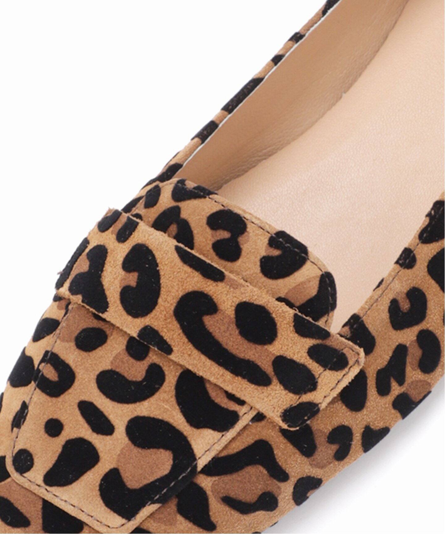 STATUS/ステイタス LEOPARD FLAT A1623-M（フラットシューズ）｜IENA 