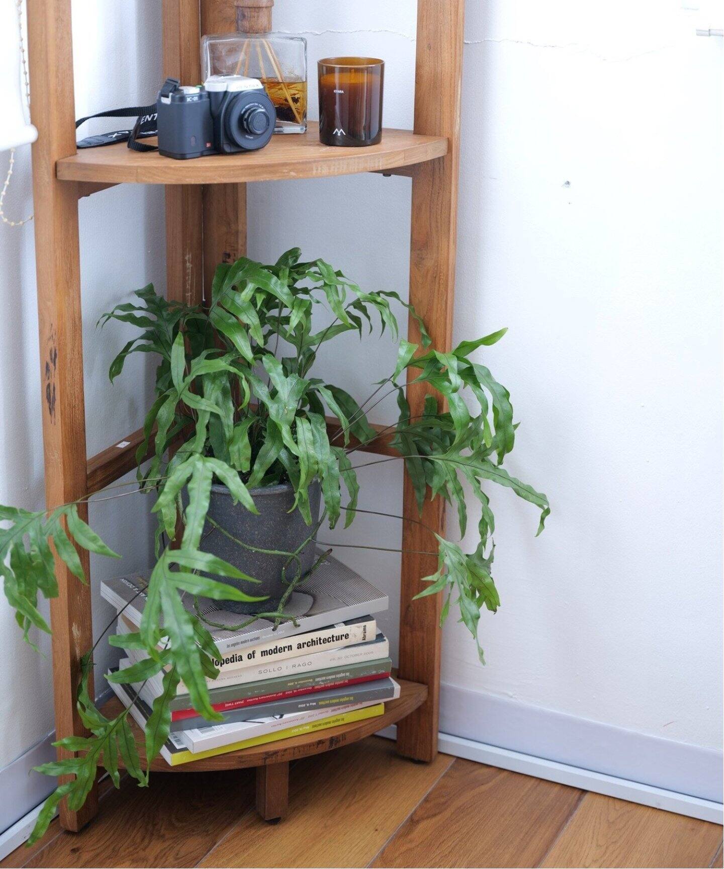 【りん】TROY CORNER SHELF 大型商品》TROY CORNER SHELF L トロイコーナーシェルフ（収納
