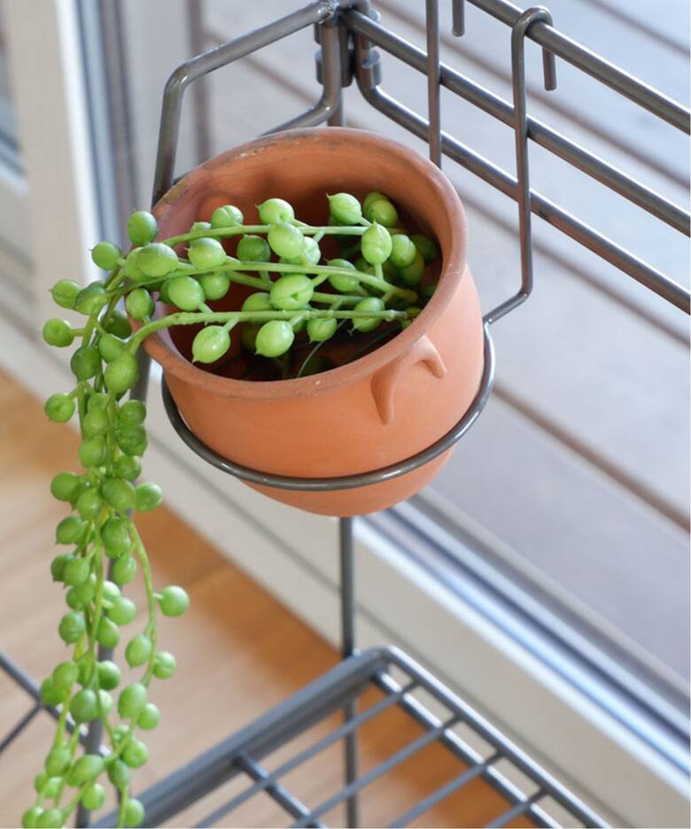 COLLEND/コレンド】WIRE BOTANICAL RACK ワイヤー 植物ラック（収納 