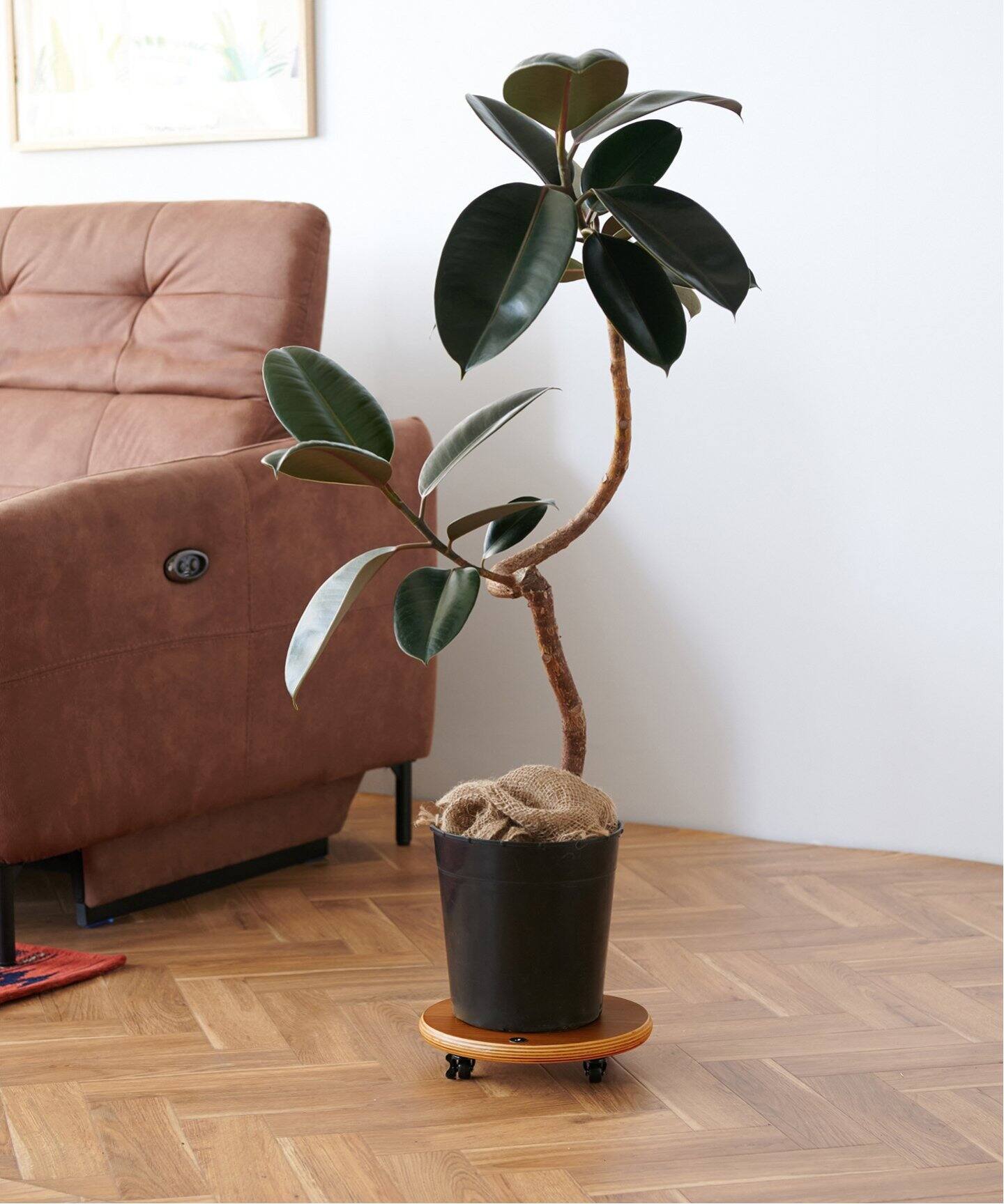 予約》JSF PLANT CADDY-round(S) キャスター付き 植木鉢台（収納家具