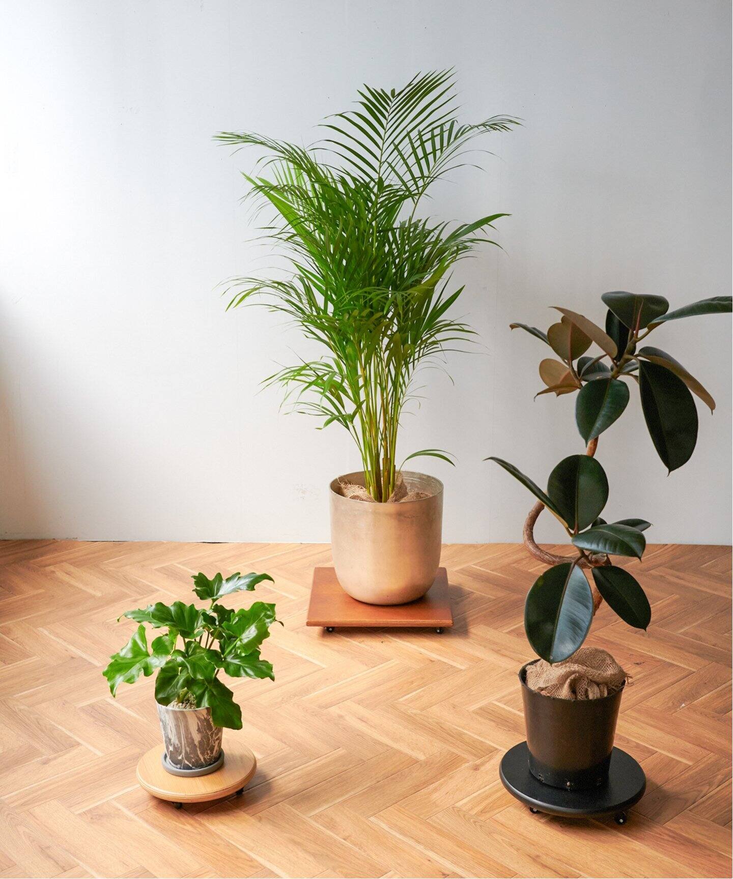 JSF PLANT CADDY-round(S) キャスター付き 植木鉢台（収納家具