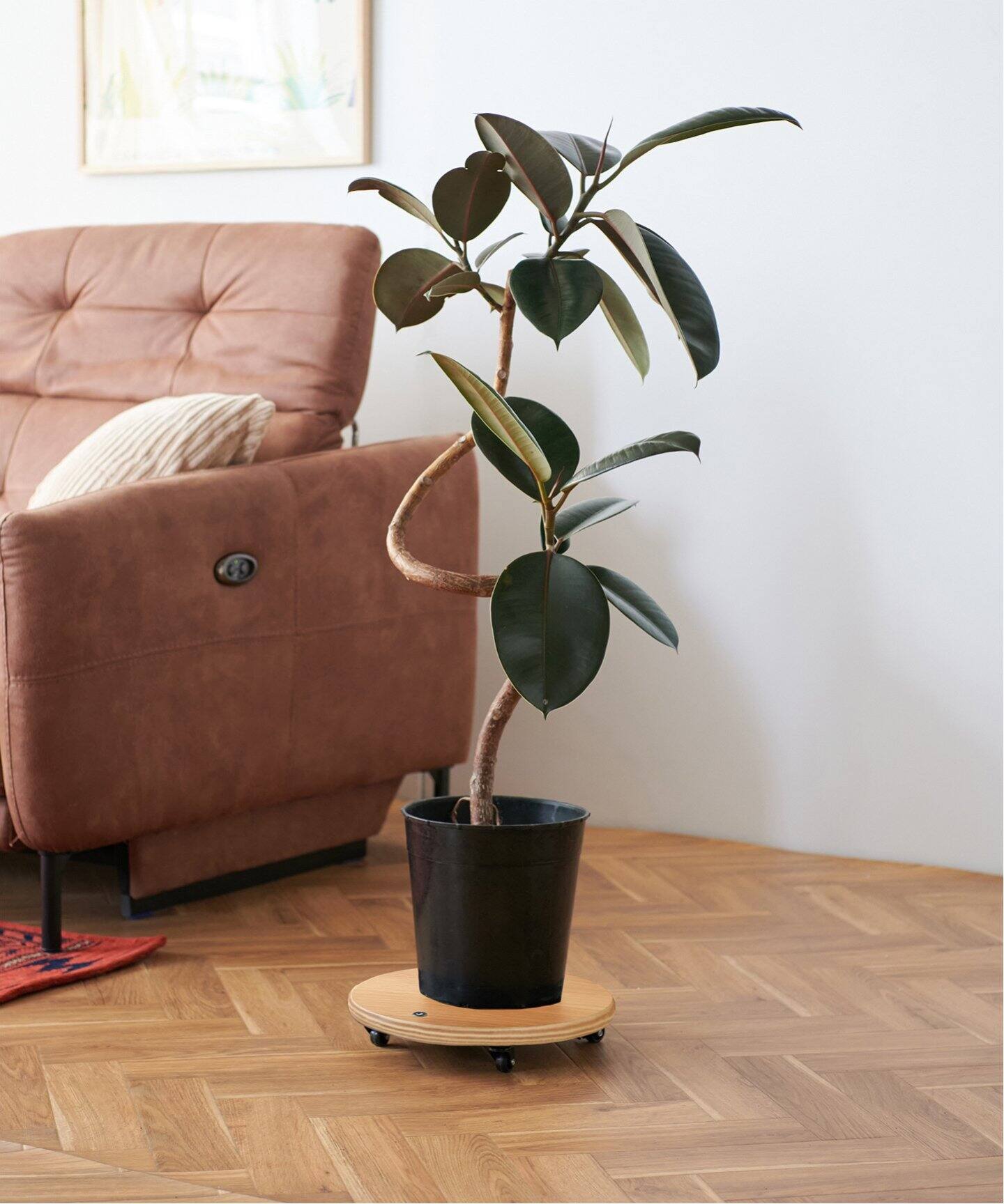 JSF PLANT CADDY-round(L) キャスター付き 植木鉢台（収納家具