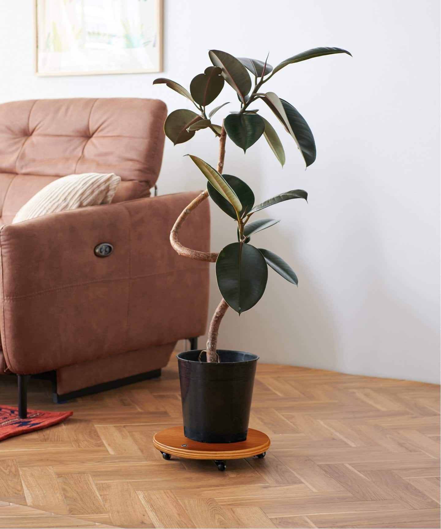 JSF PLANT CADDY-round(L) キャスター付き 植木鉢台（収納家具