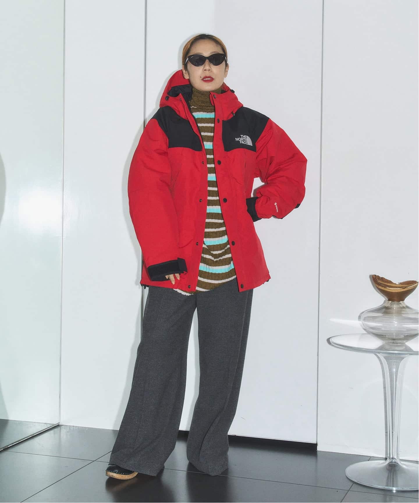 THE NORTH FACE MOUNTAIN DOWN JACKET ND92549：ダウンジャケット