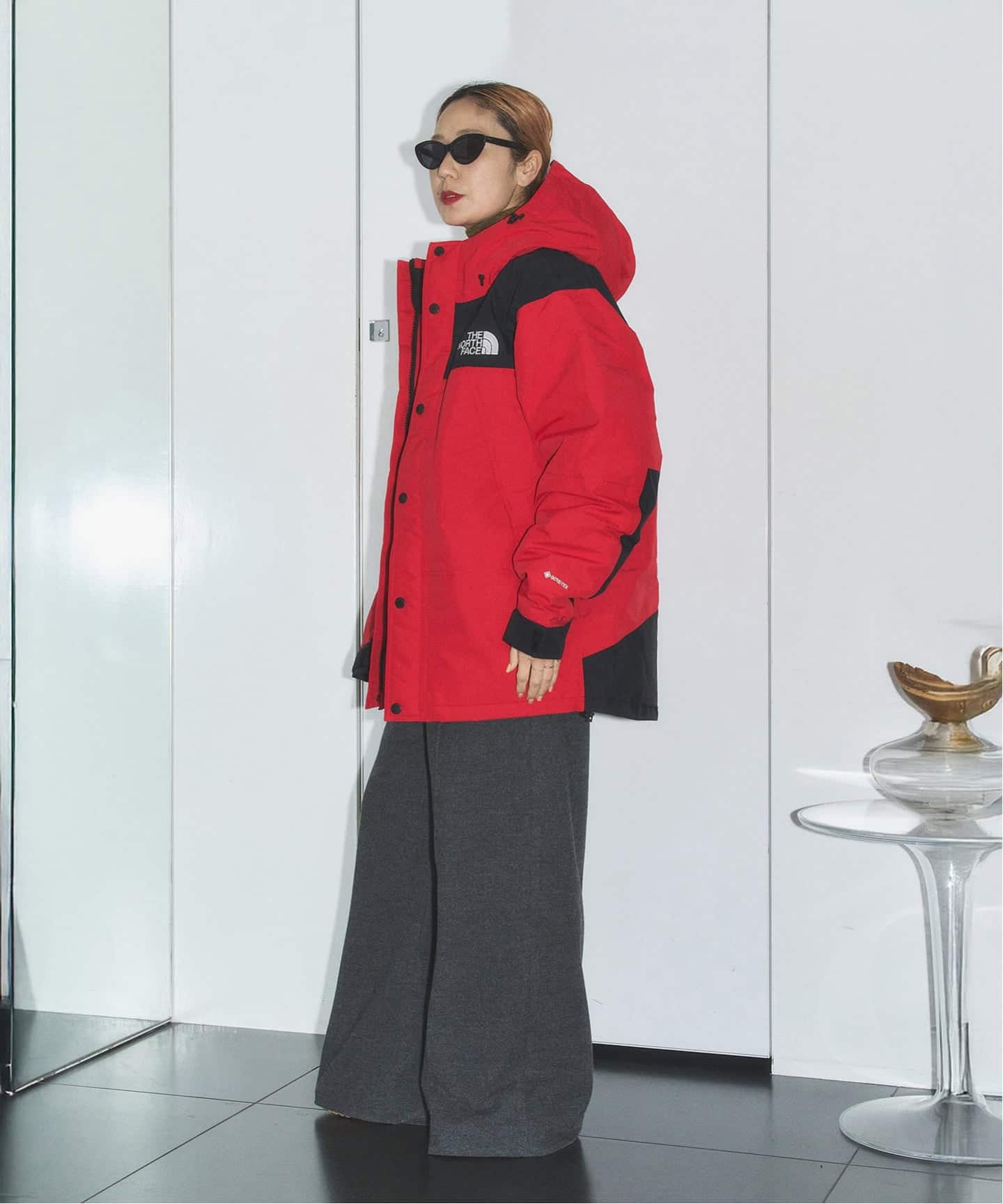 THE NORTH FACE MOUNTAIN DOWN JACKET ND92549：ダウンジャケット