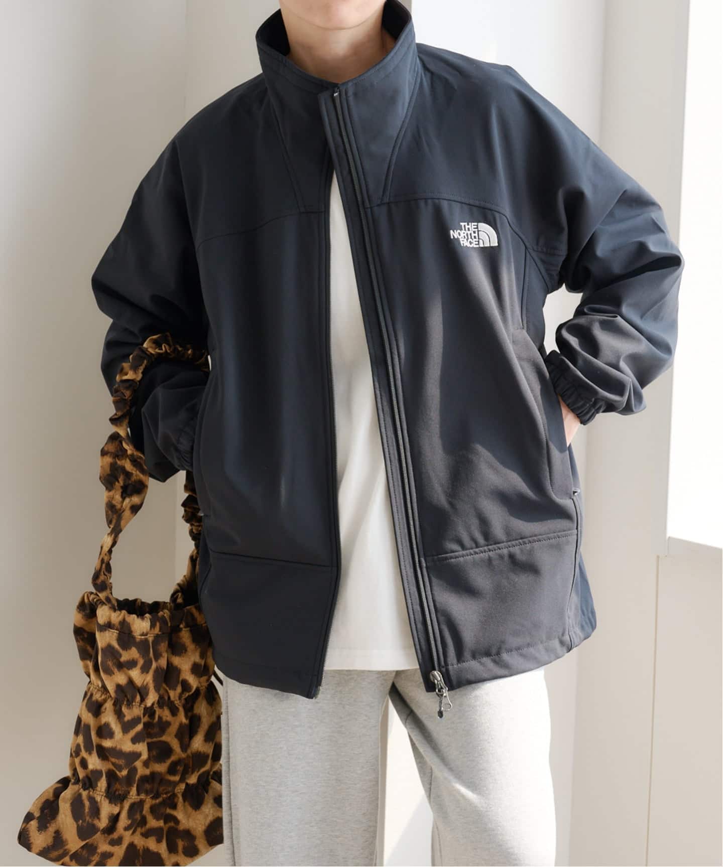 THE NORTH FACE Advanced Jacket NP72550（マウンテンパーカー