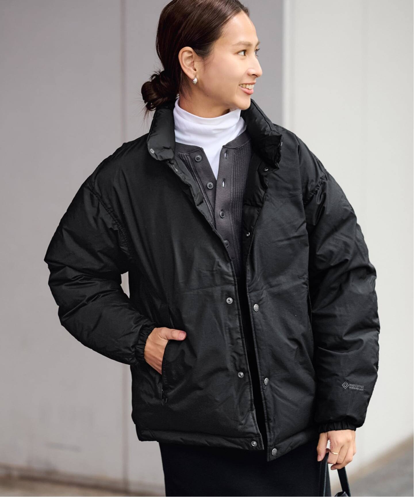 THE NORTH FACE ALTERATION SIERRA ジャケット（ダウンジャケット
