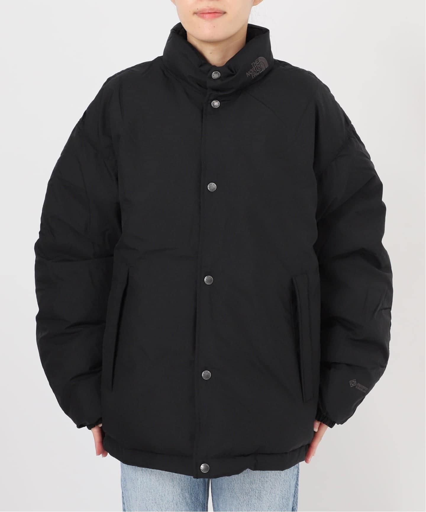 THE NORTH FACE ALTERATION SIERRA ジャケット（ダウンジャケット