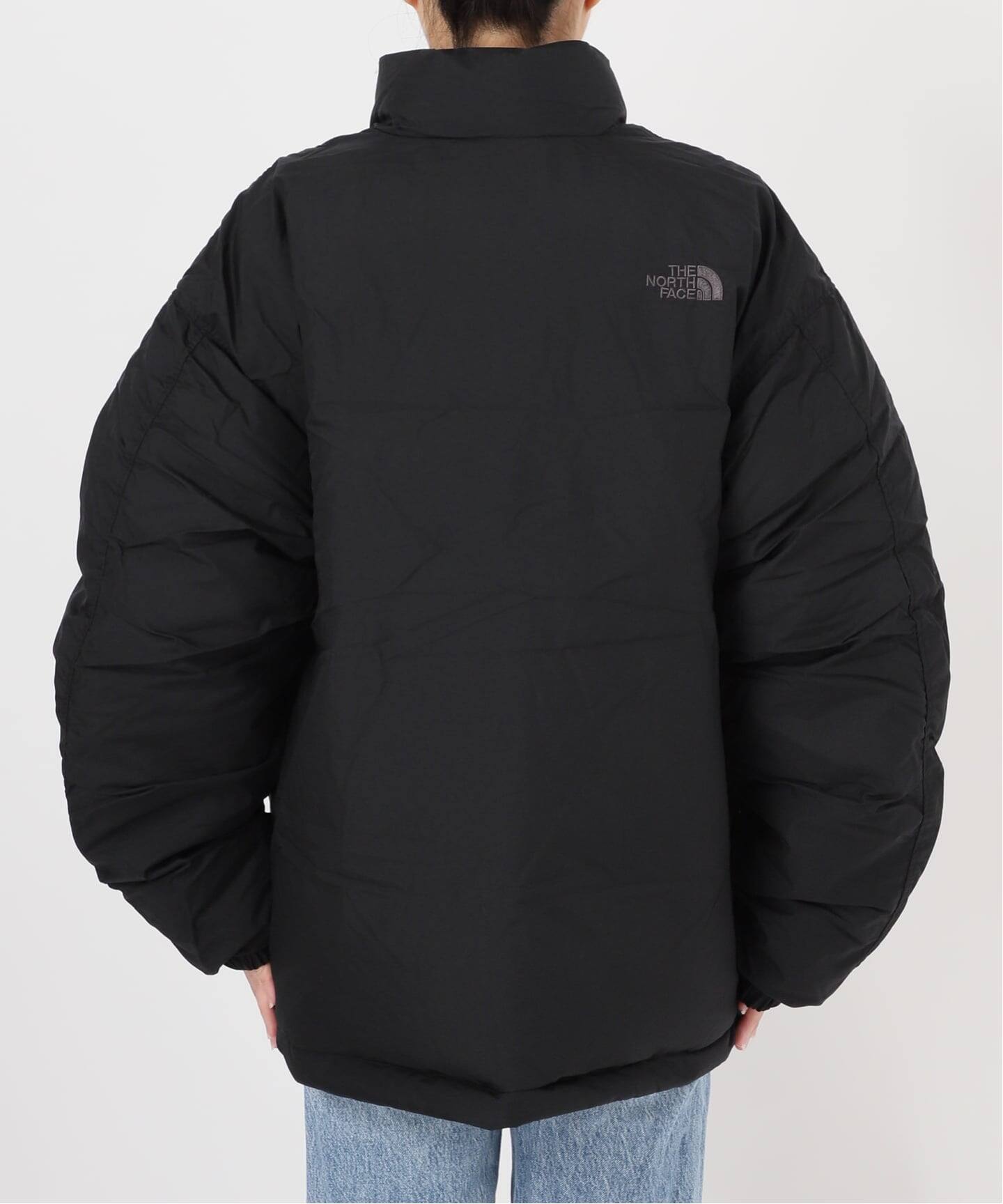 THE NORTH FACE ALTERATION SIERRA ジャケット（ダウンジャケット