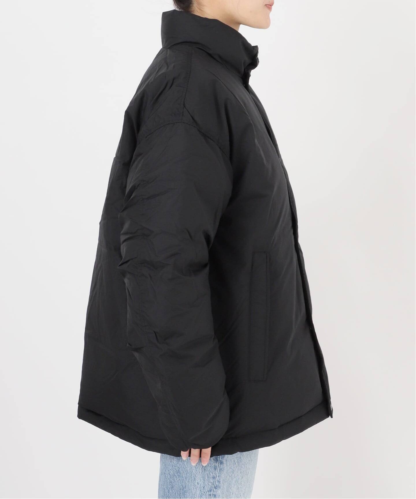 THE NORTH FACE ALTERATION SIERRA ジャケット（ダウンジャケット