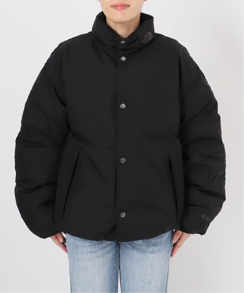 THE NORTH FACE ALTERATION SIERRA ジャケット（ダウンジャケット 