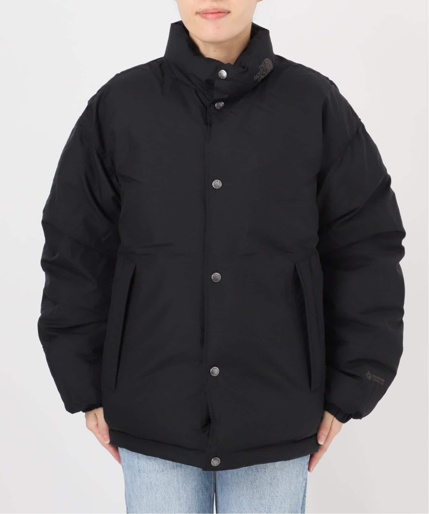 THE NORTH FACE ALTERATION SIERRA ジャケット（ダウンジャケット