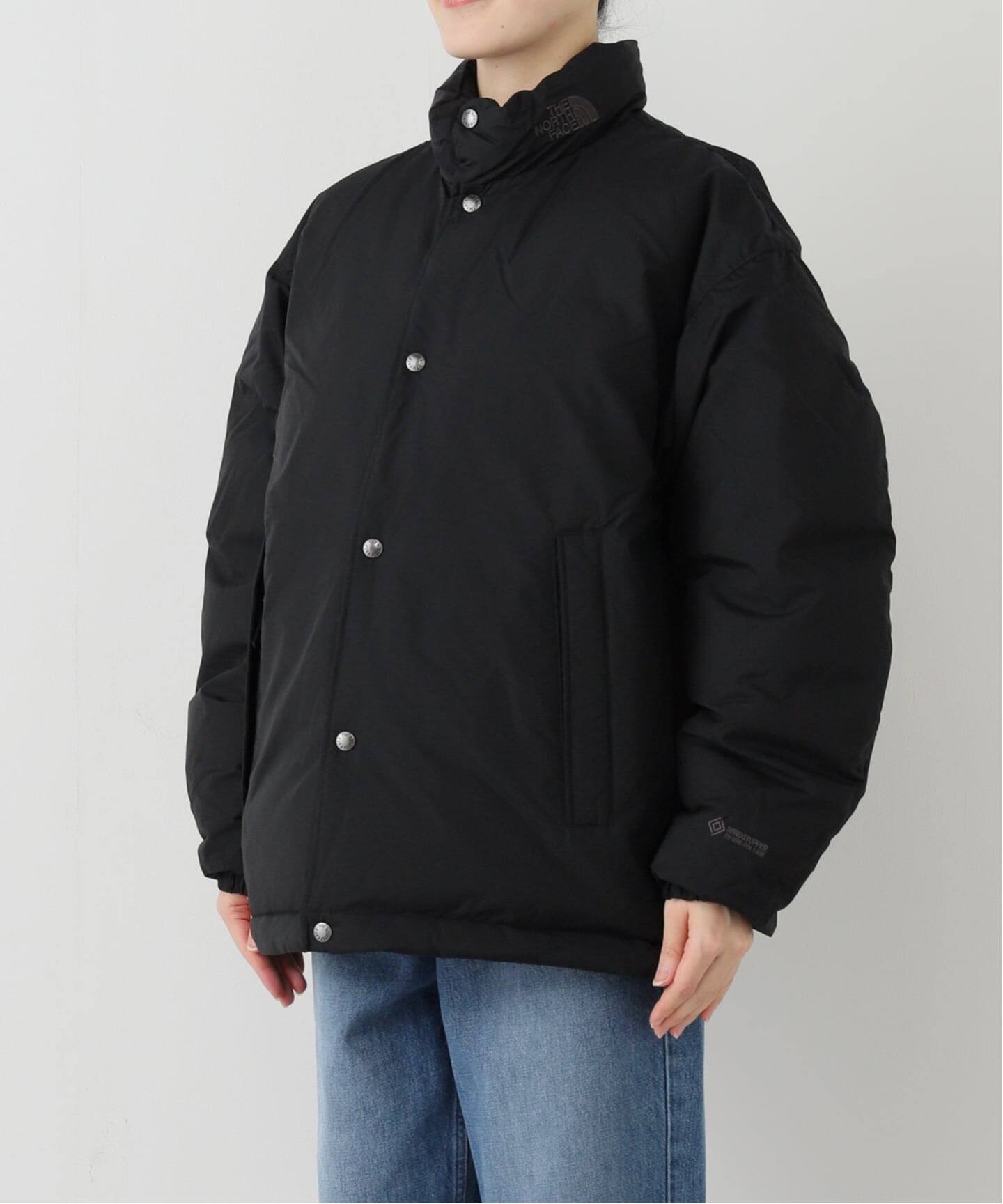 THE NORTH FACE ALTERATION SIERRA ジャケット（ダウンジャケット