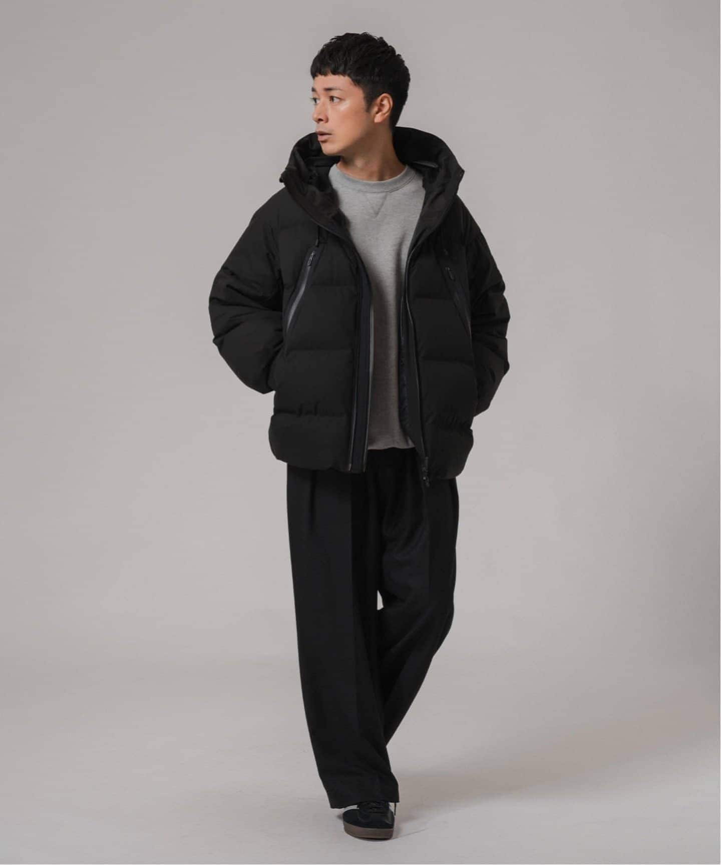 DESCENTE ALLTERRAIN 水沢ダウン 別注 MOUNTAINEER/マウンテニア
