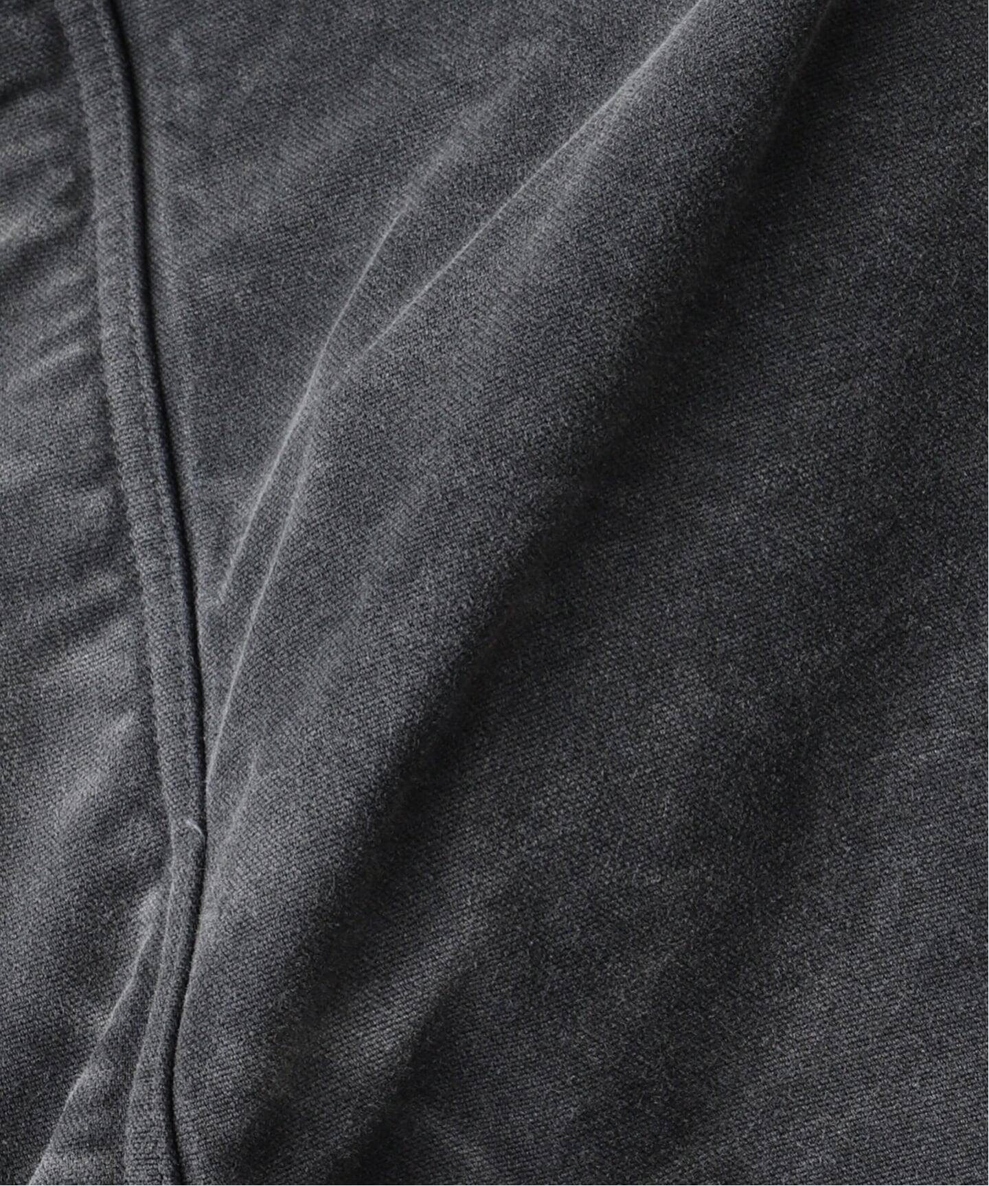 AURALEE (オーラリー) PRODUCT DYED ORGANIC COTTON DUCK（その他