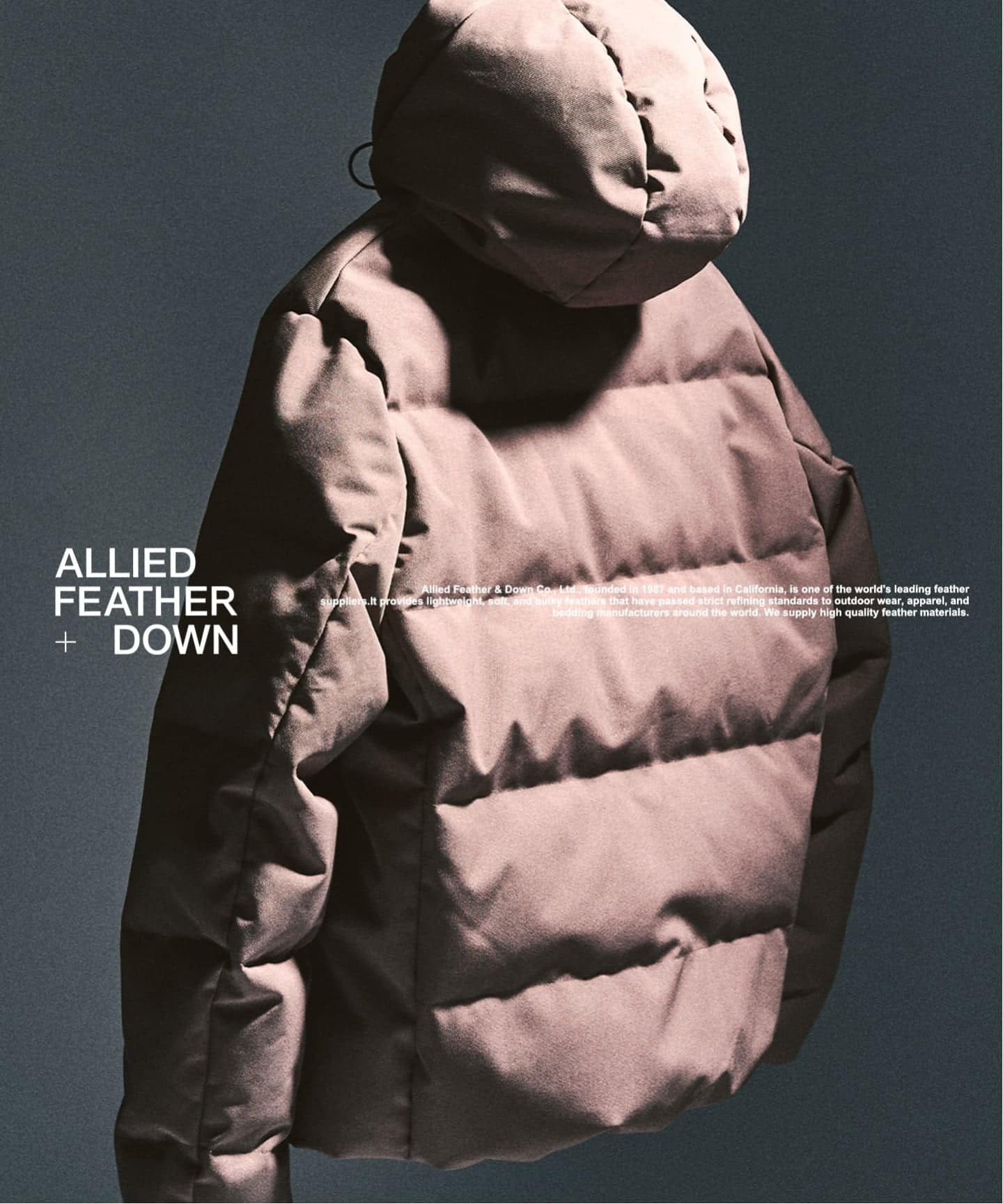 ALLIED FEATHER+DOWN / アライド ダウンブルゾン（ダウンジャケット