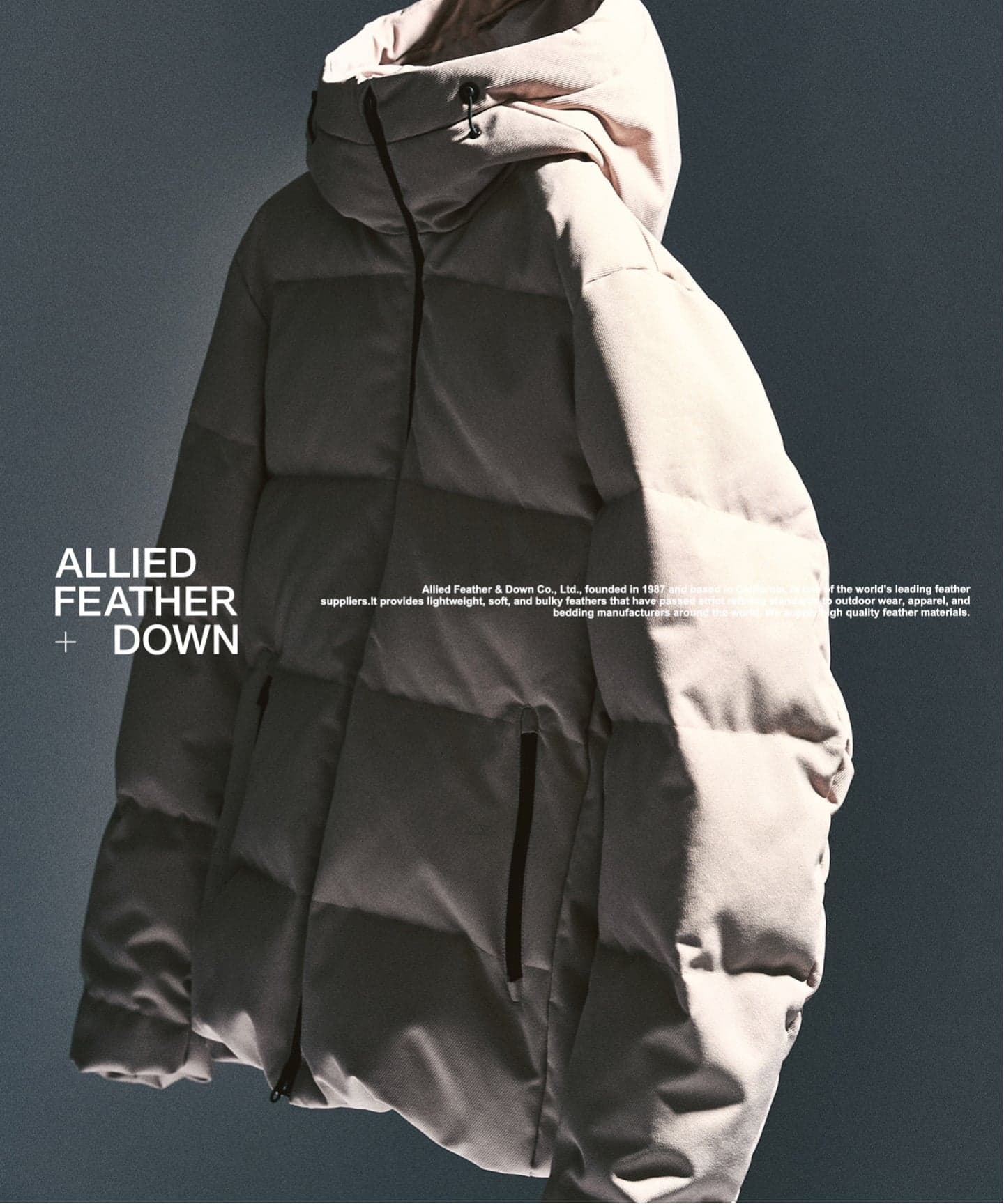 ALLIED FEATHER+DOWN / アライド ダウンブルゾン（ダウンジャケット