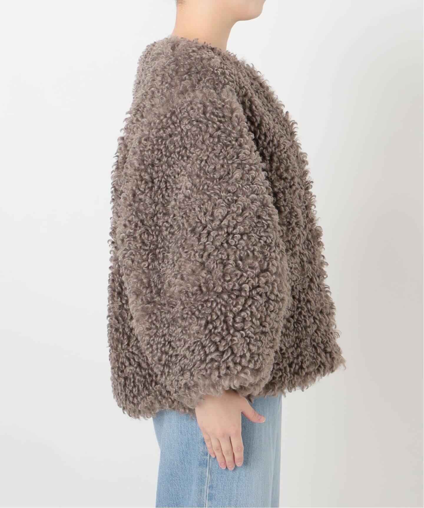 WEB限定/追加》TISSAVELファーブルゾン（その他ブルゾン／アウター