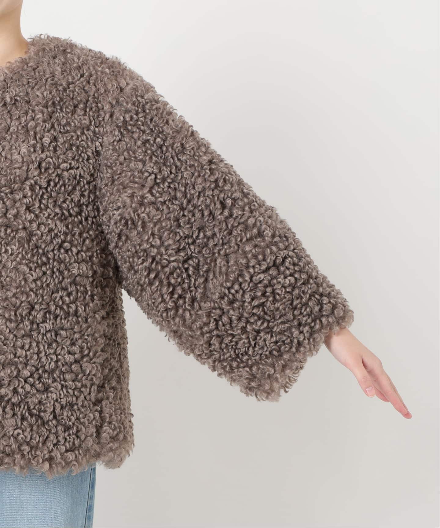 WEB限定/追加予約》TISSAVELファーブルゾン（その他ブルゾン／アウター