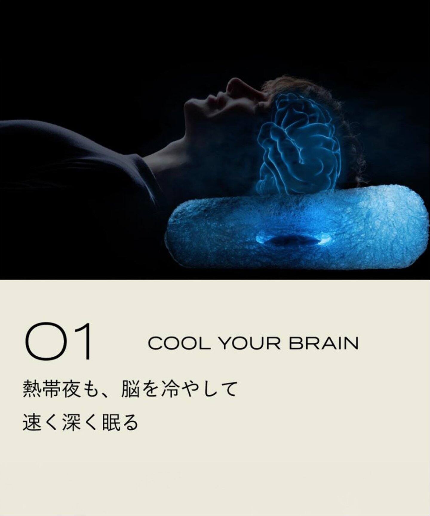 BRAIN SLEEP/ブレインスリープ】 ピロー パーフェクト クール 枕 本体