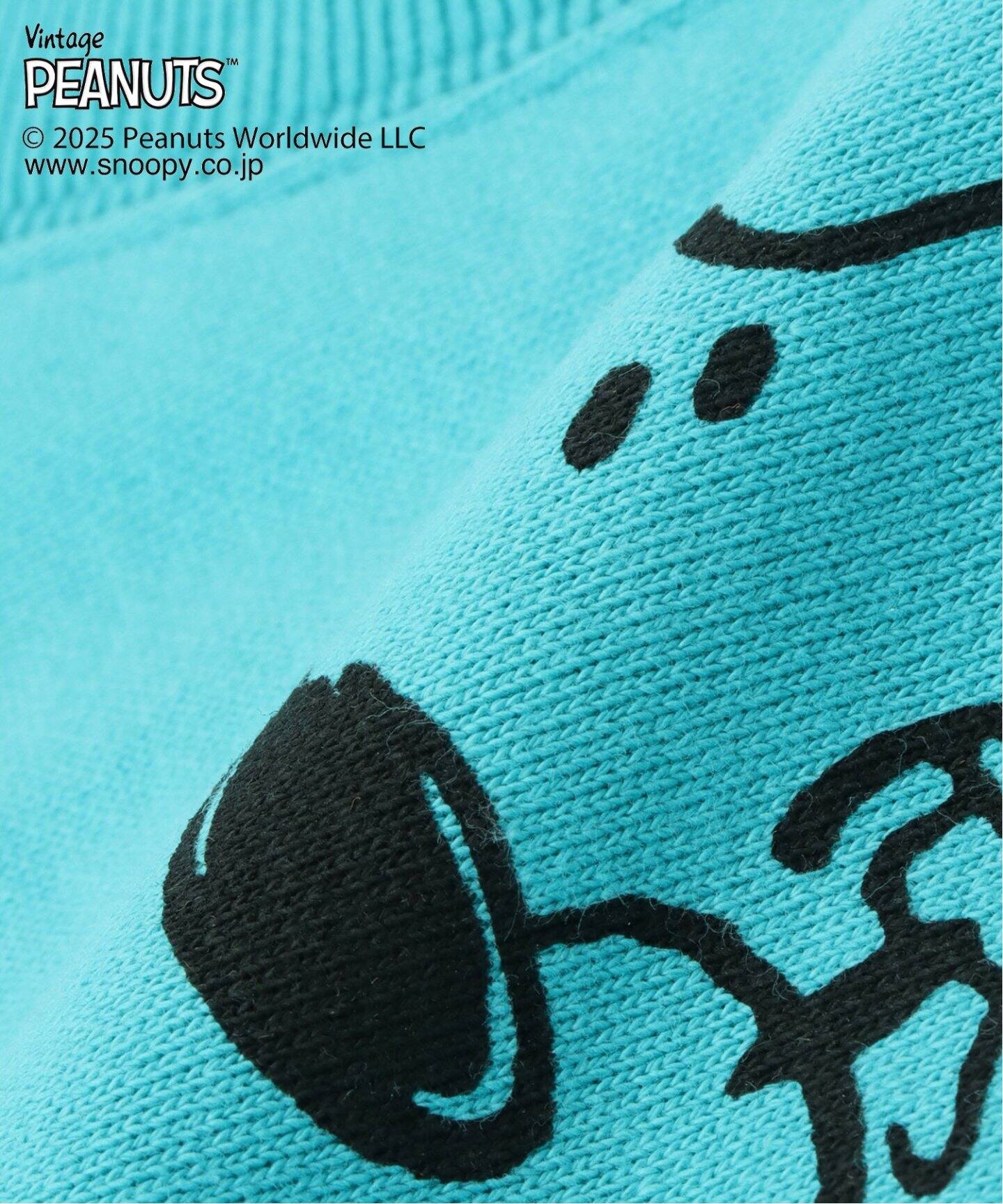 PEANUTS×SPORTS WEAR by JSF】別注 SWEAT CUSHION クッション