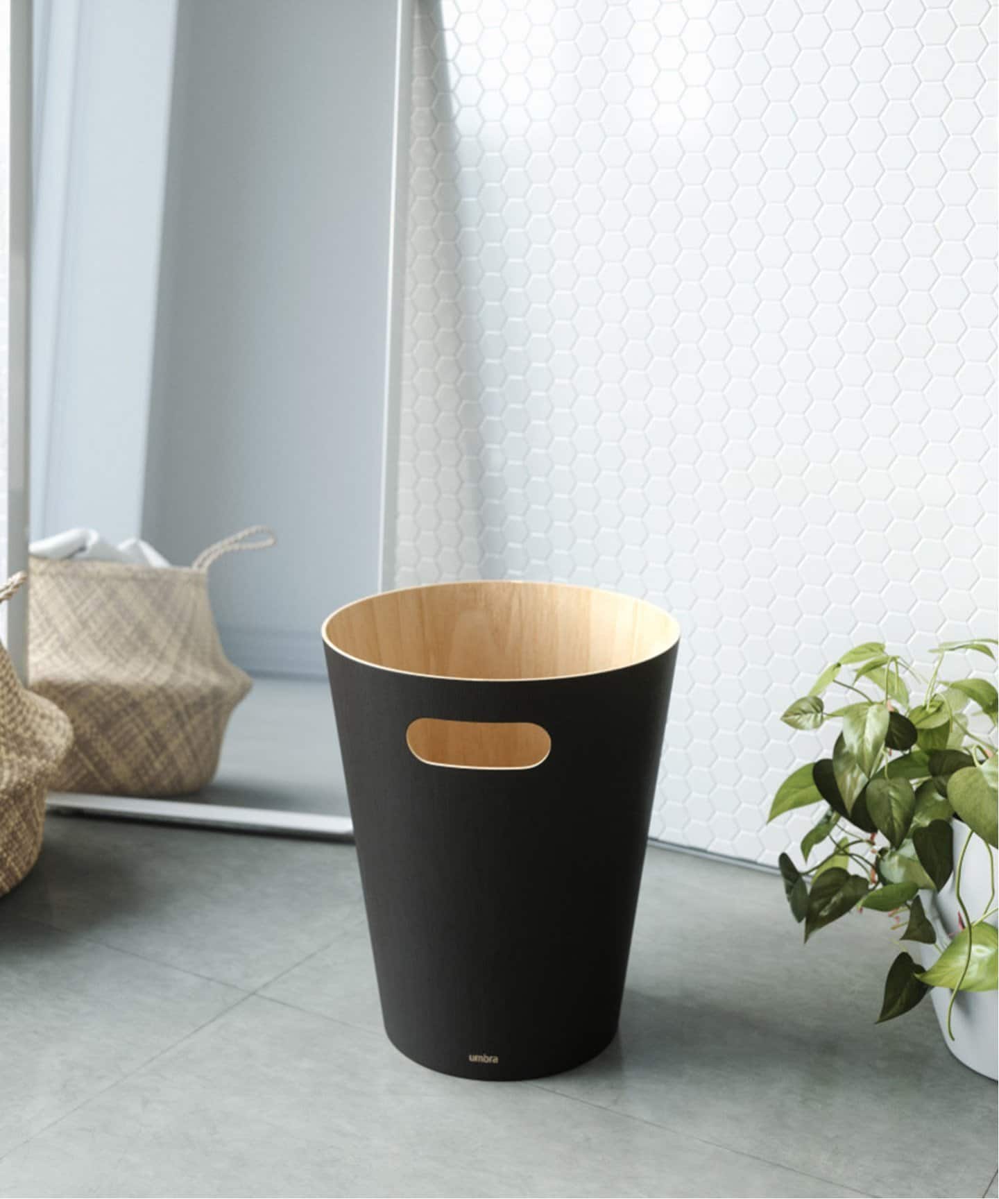 ペルー産　アントンウスバカミキリ 96mm ペルー産アントンウスバカミキリ 96mm