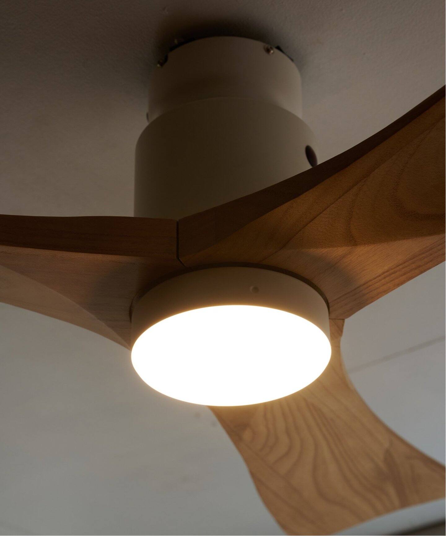 シーリングファンライト（照明）｜JOURNAL STANDARD FURNITURE
