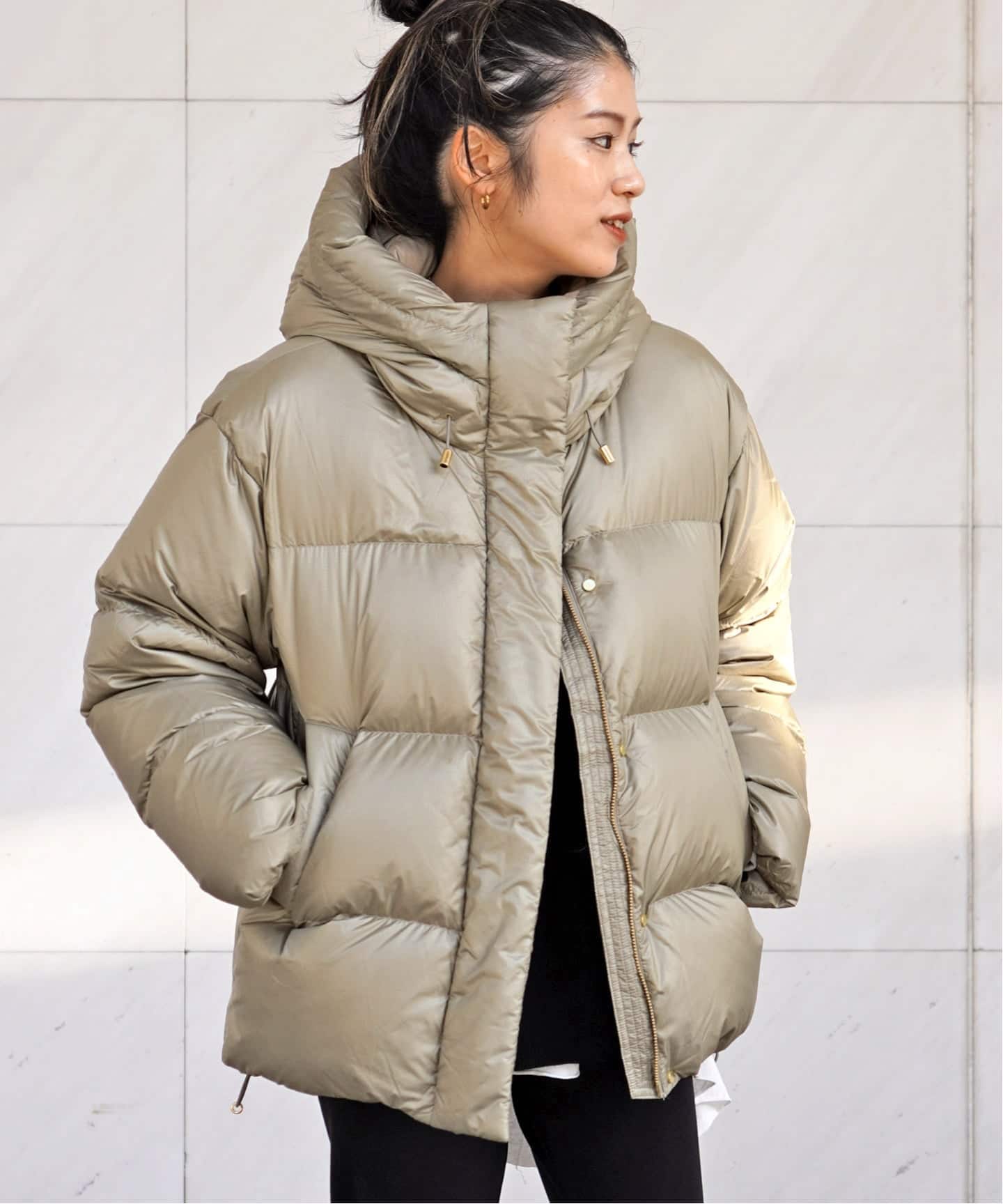 Goldwin /ゴールドウィン】別注PERTEX QUANTUM Down Parka（その他