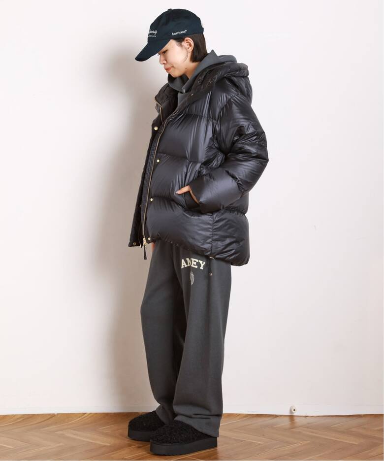 Goldwin /ゴールドウィン】別注PERTEX QUANTUM Down Parka（その他 