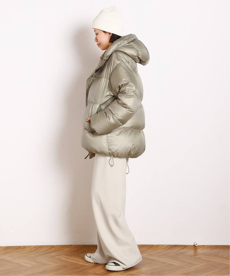 Goldwin /ゴールドウィン】別注PERTEX QUANTUM Down Parka（その他 