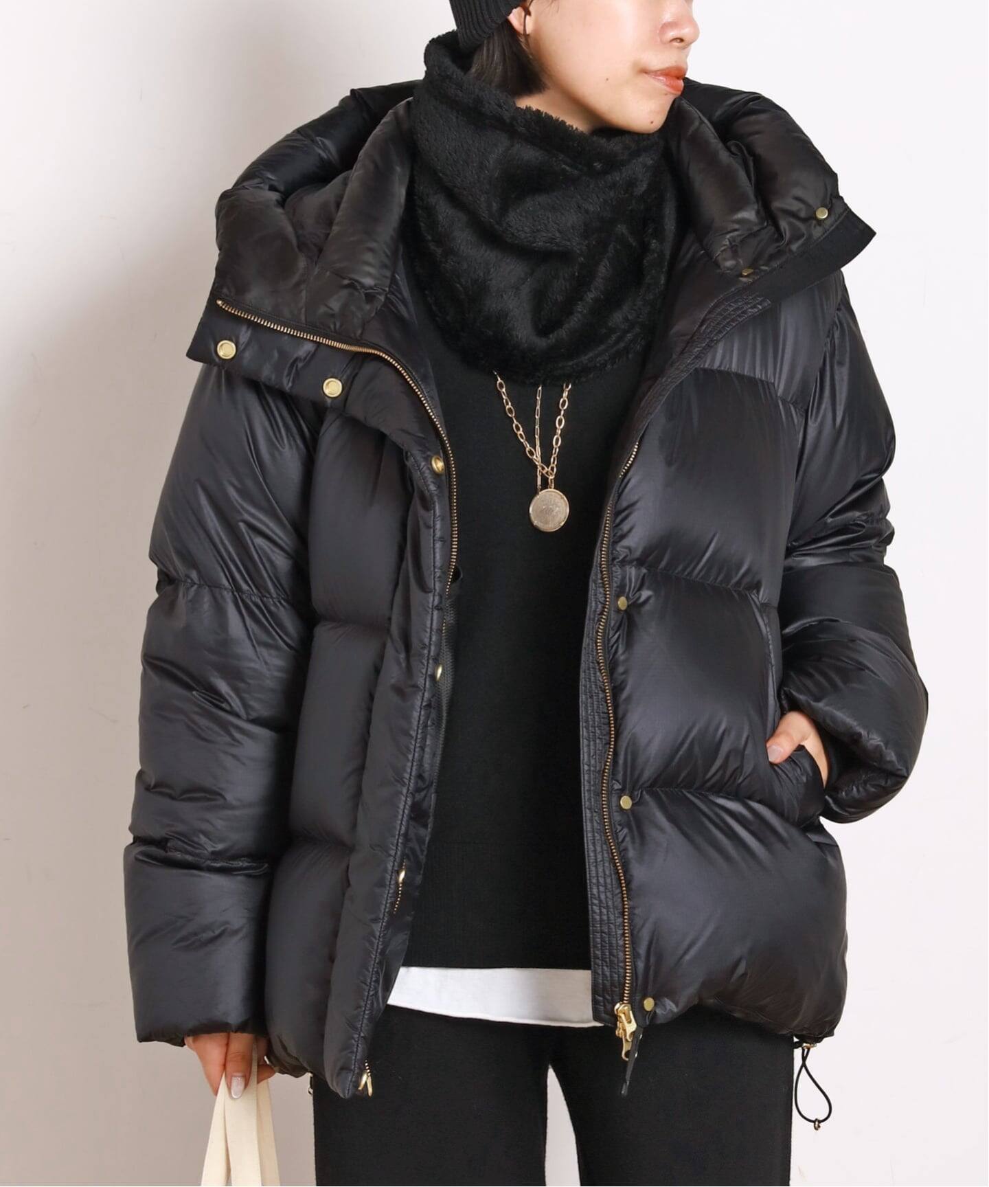 Goldwin /ゴールドウィン】別注PERTEX QUANTUM Down Parka（その他