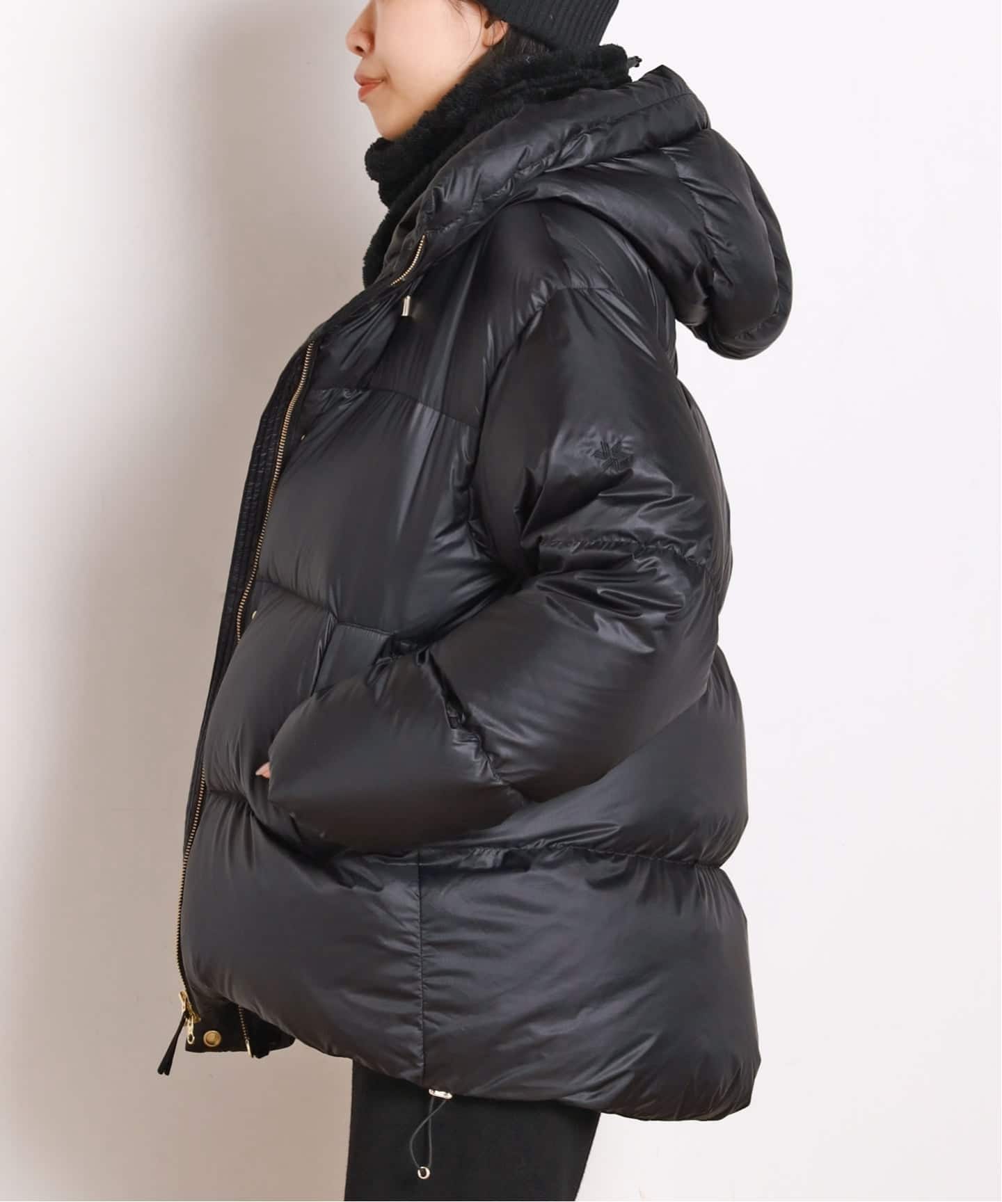 Goldwin /ゴールドウィン】別注PERTEX QUANTUM Down Parka（その他