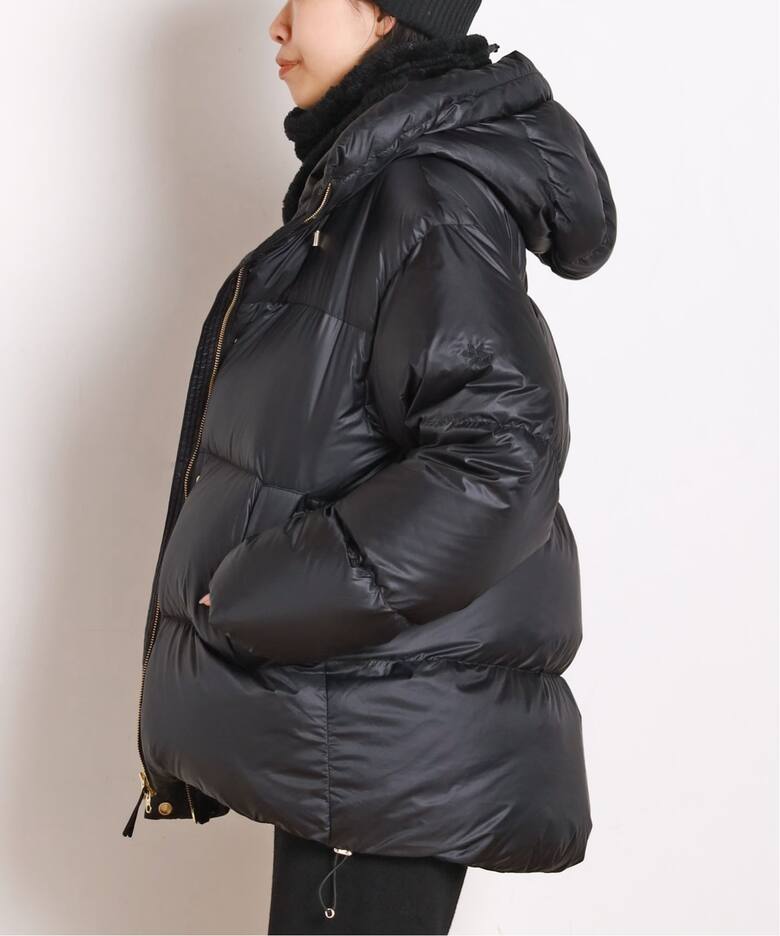 Goldwin /ゴールドウィン】別注PERTEX QUANTUM Down Parka（その他 