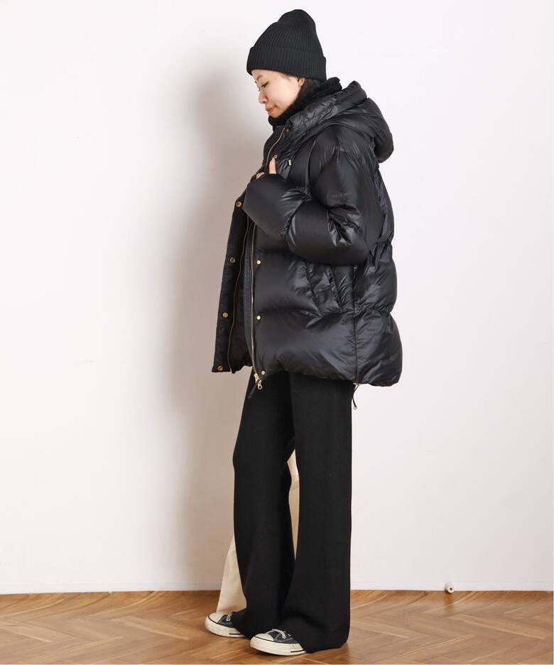 Goldwin /ゴールドウィン】別注PERTEX QUANTUM Down Parka（その他 