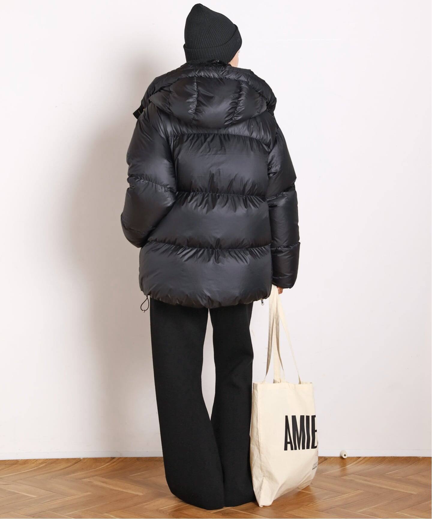 Goldwin /ゴールドウィン】別注PERTEX QUANTUM Down Parka（その他